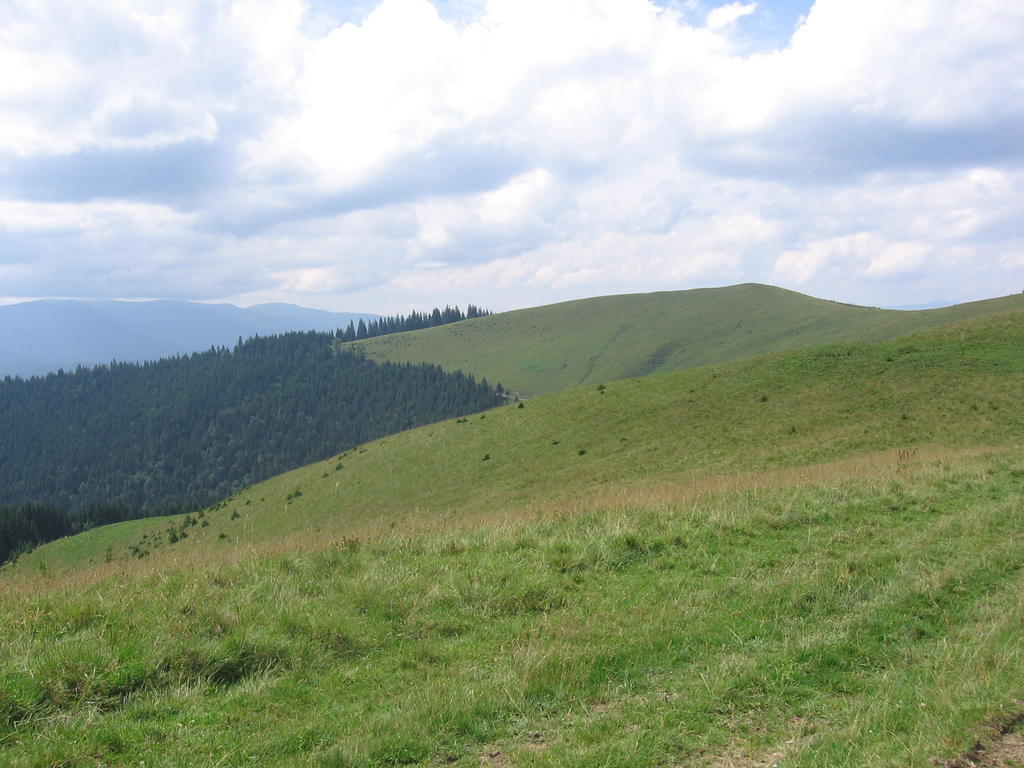 Muzey-Sadyba Grazhda Bukovel Exterior photo